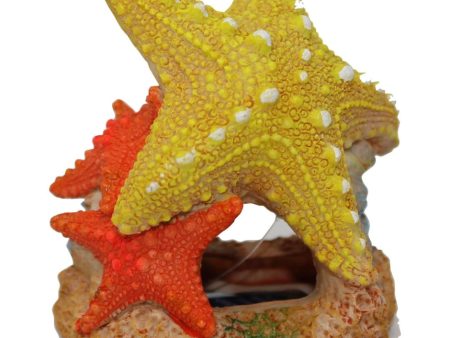 EXOTIC ENVIRONMENTS SEA STAR DUO Online