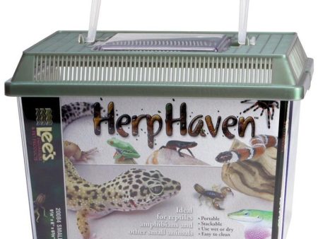 HERPHAVEN RECTANGLE Online Hot Sale