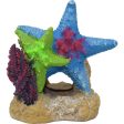 EXOTIC ENVIRONMENTS SEA STAR DUO WITH PLANT For Sale