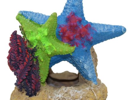 EXOTIC ENVIRONMENTS SEA STAR DUO WITH PLANT For Sale