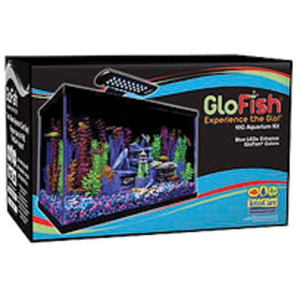 GLOFISH AQUARIUM KIT For Discount